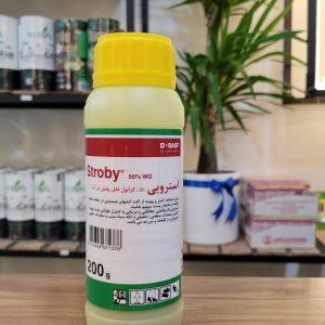 استروبی basf گرمی۲۰۰